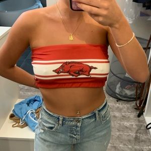 University of Arkansas Bandeau